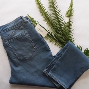 style & co curvy skinny leg blue jeans NWT
